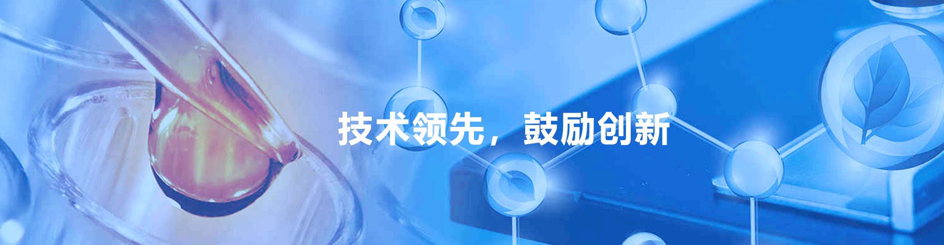 技术领先，鼓励创新